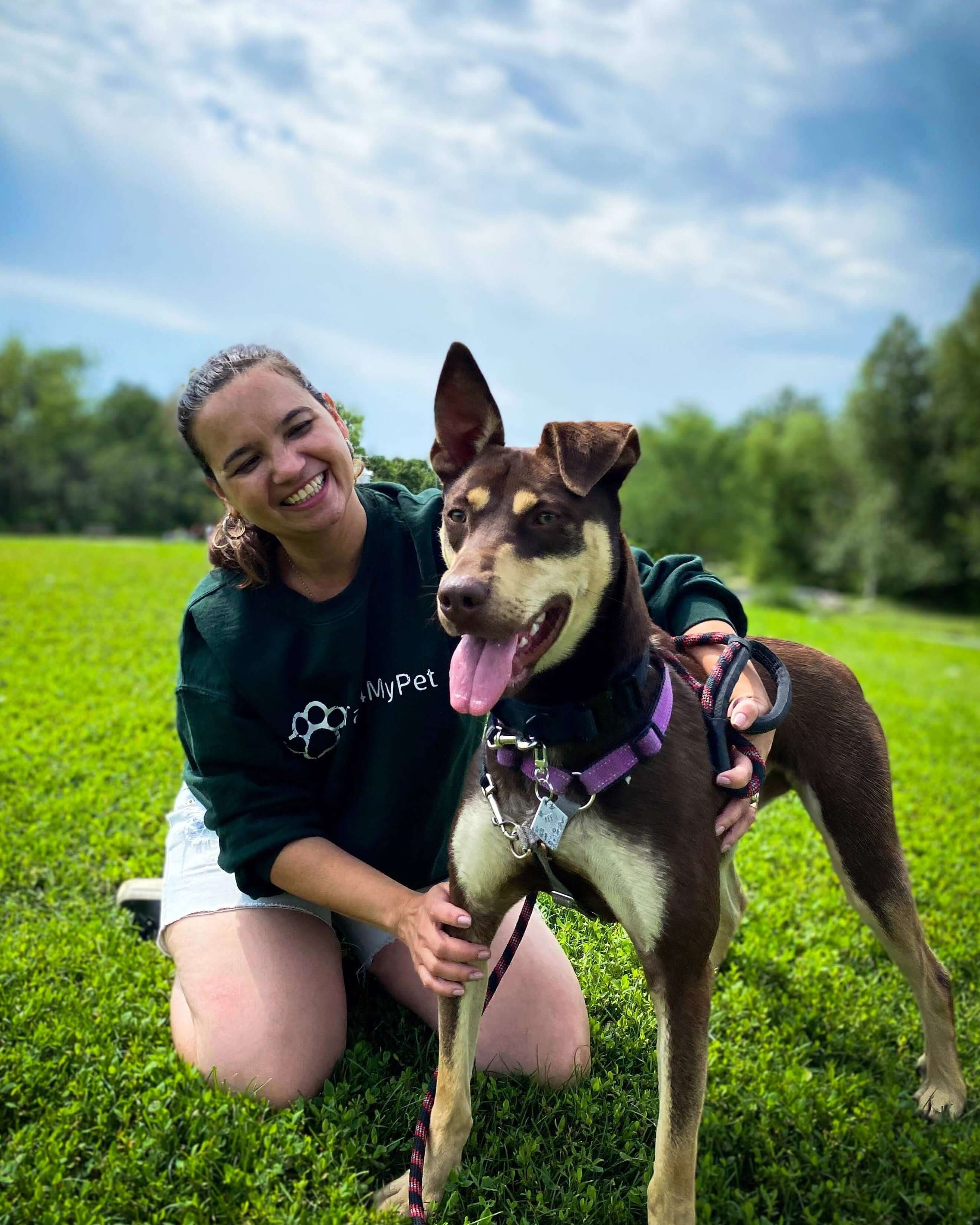 Top 5 Pet Tag Styles Loved by Toronto Pet Moms