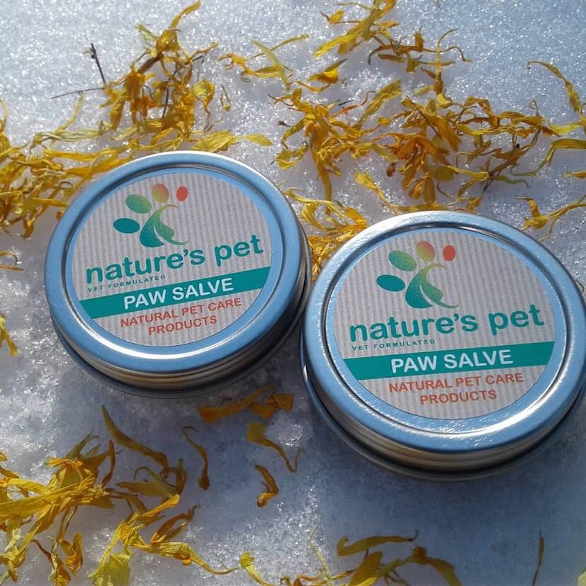 Paw Balm to Protect Pets During Winter
