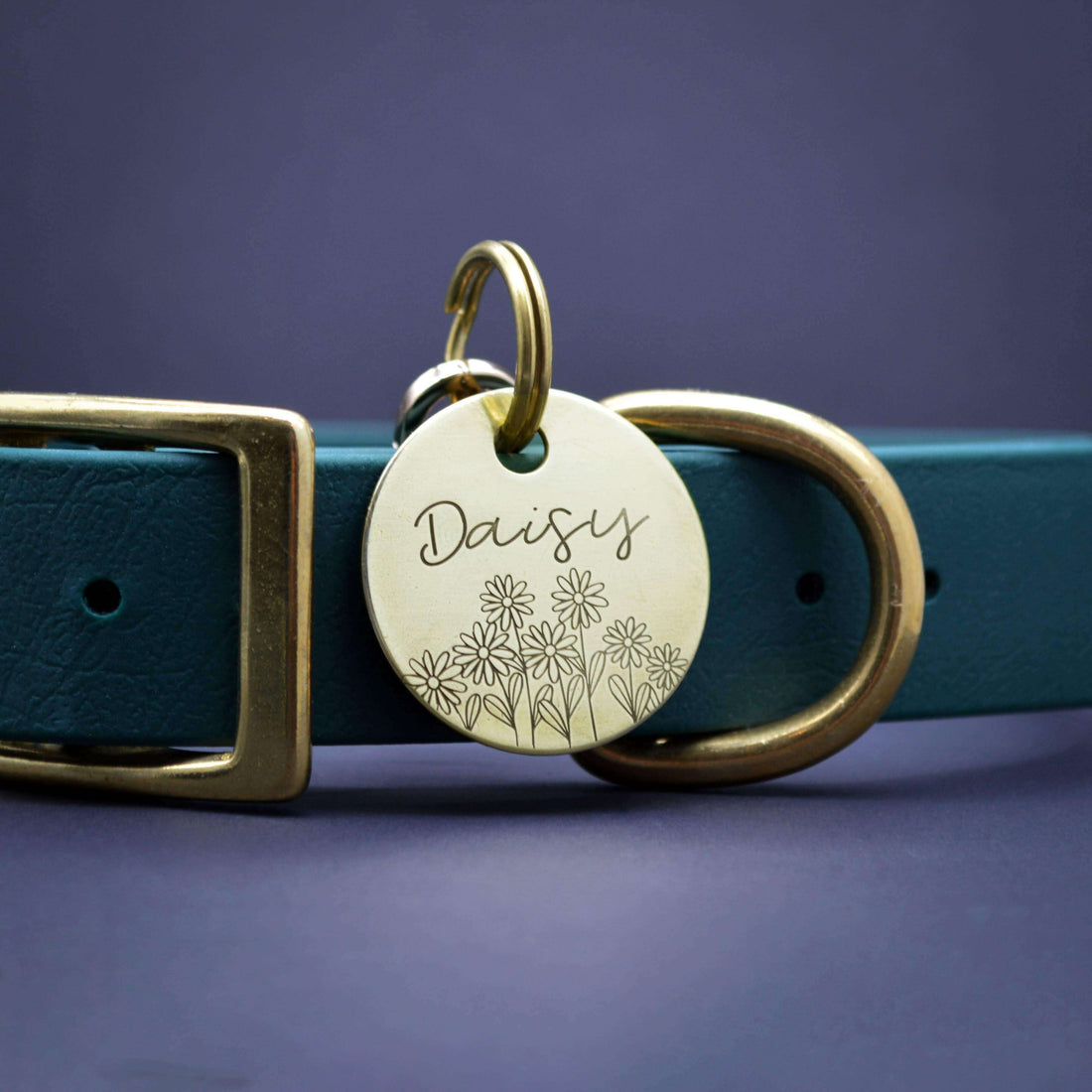 Dog ID Tag attached to a Green Collar with Gold | Tag4MyPet