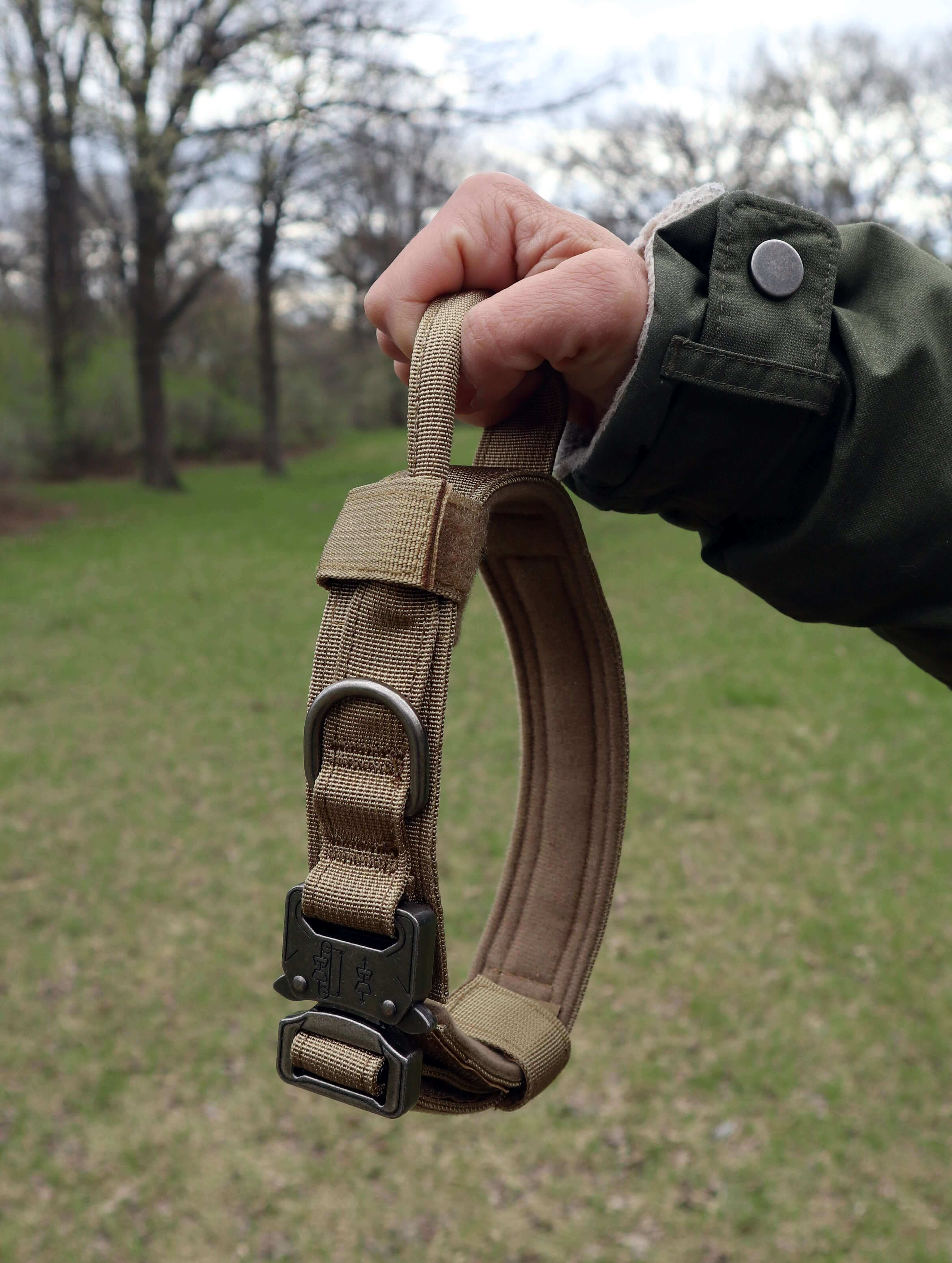 Dog Collar