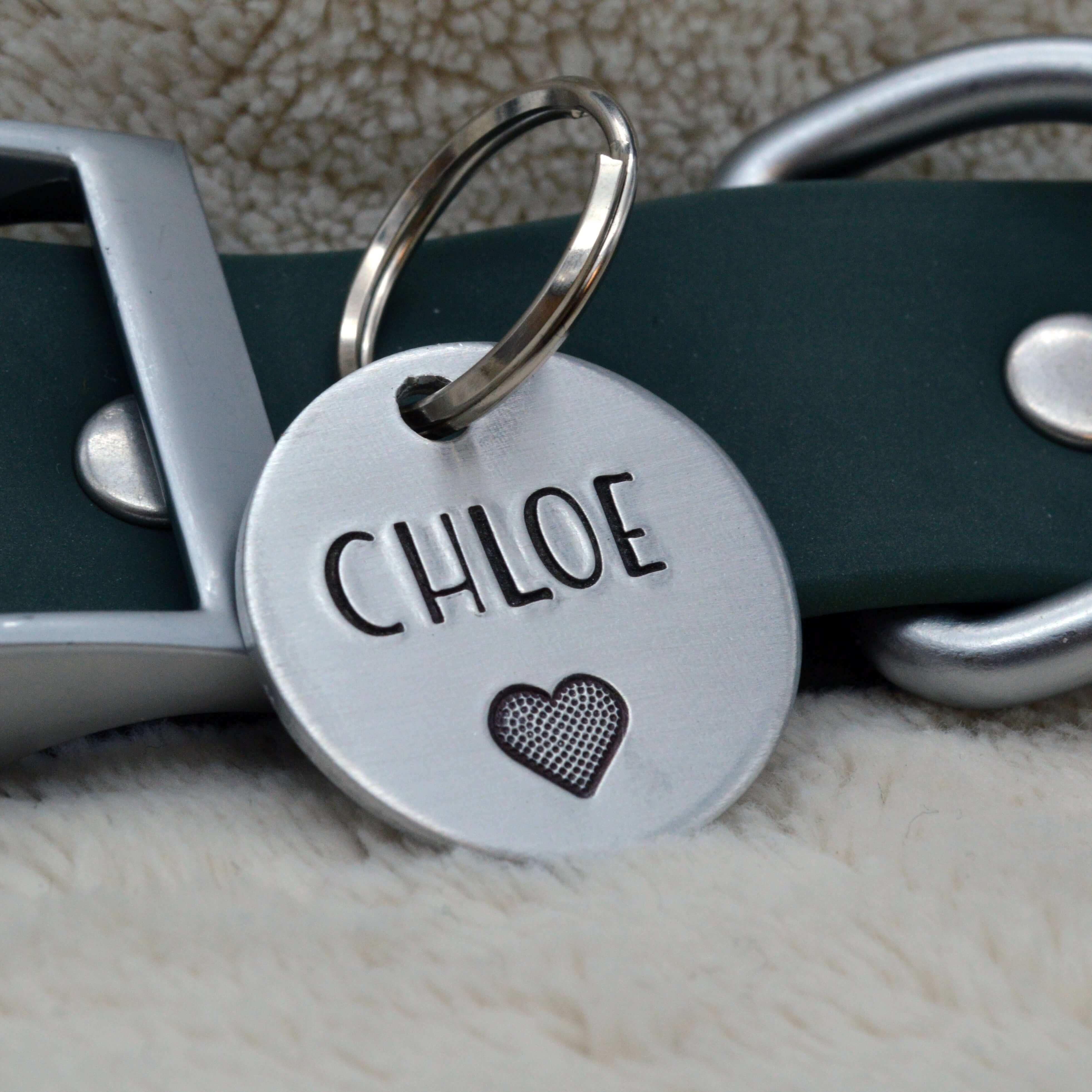 Pet ID Tag for Dogs