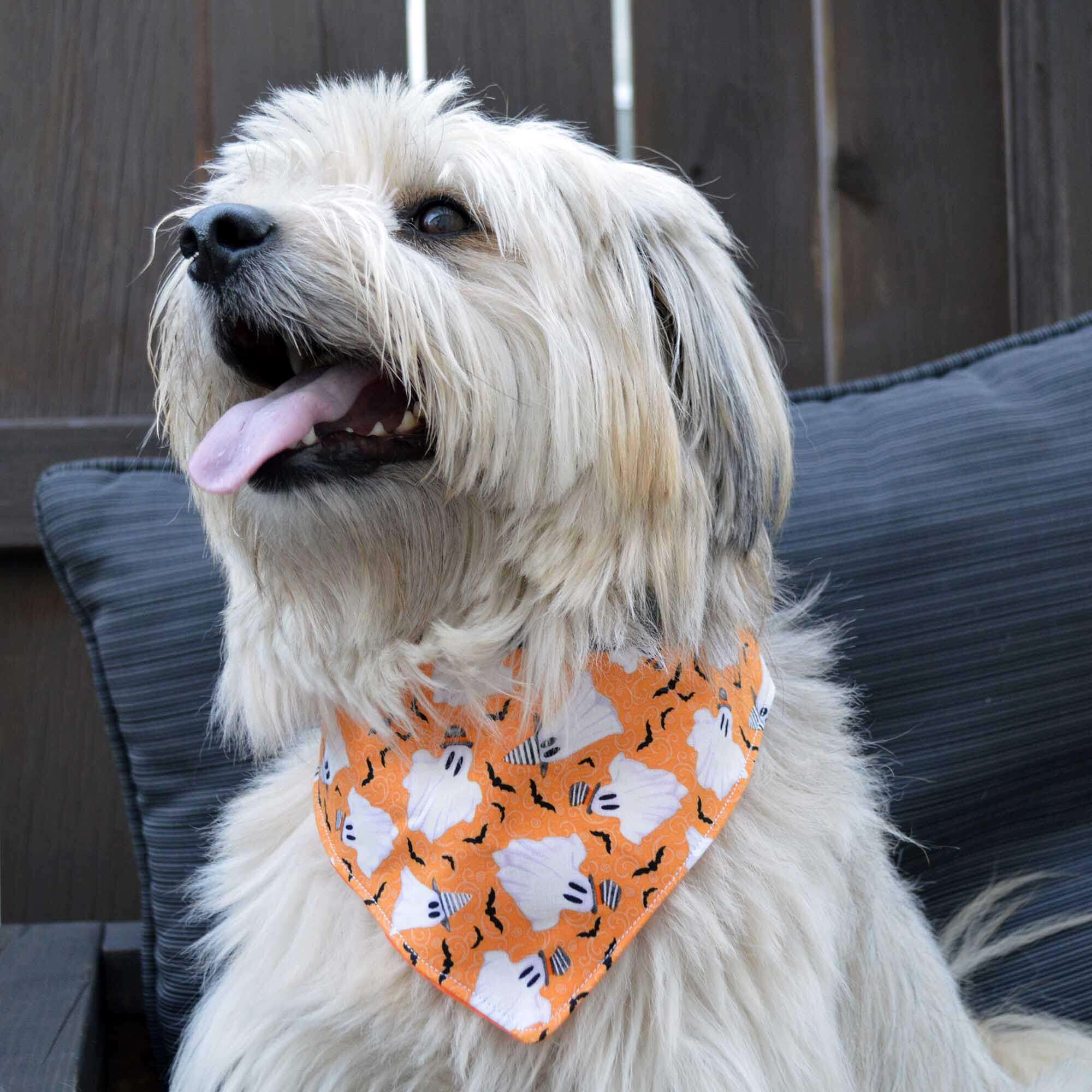 Smiling white furry dog ​​with orange bandana