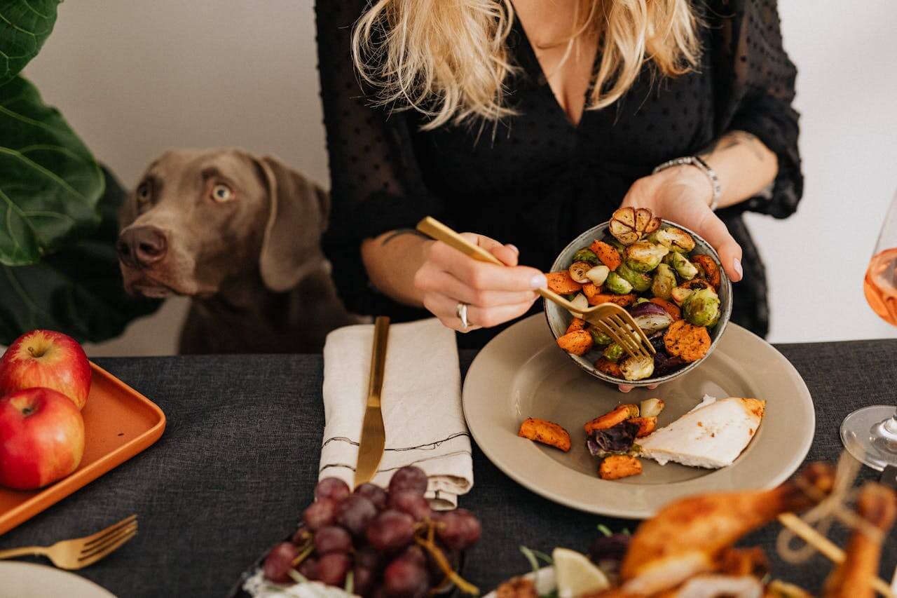 person feeding dog