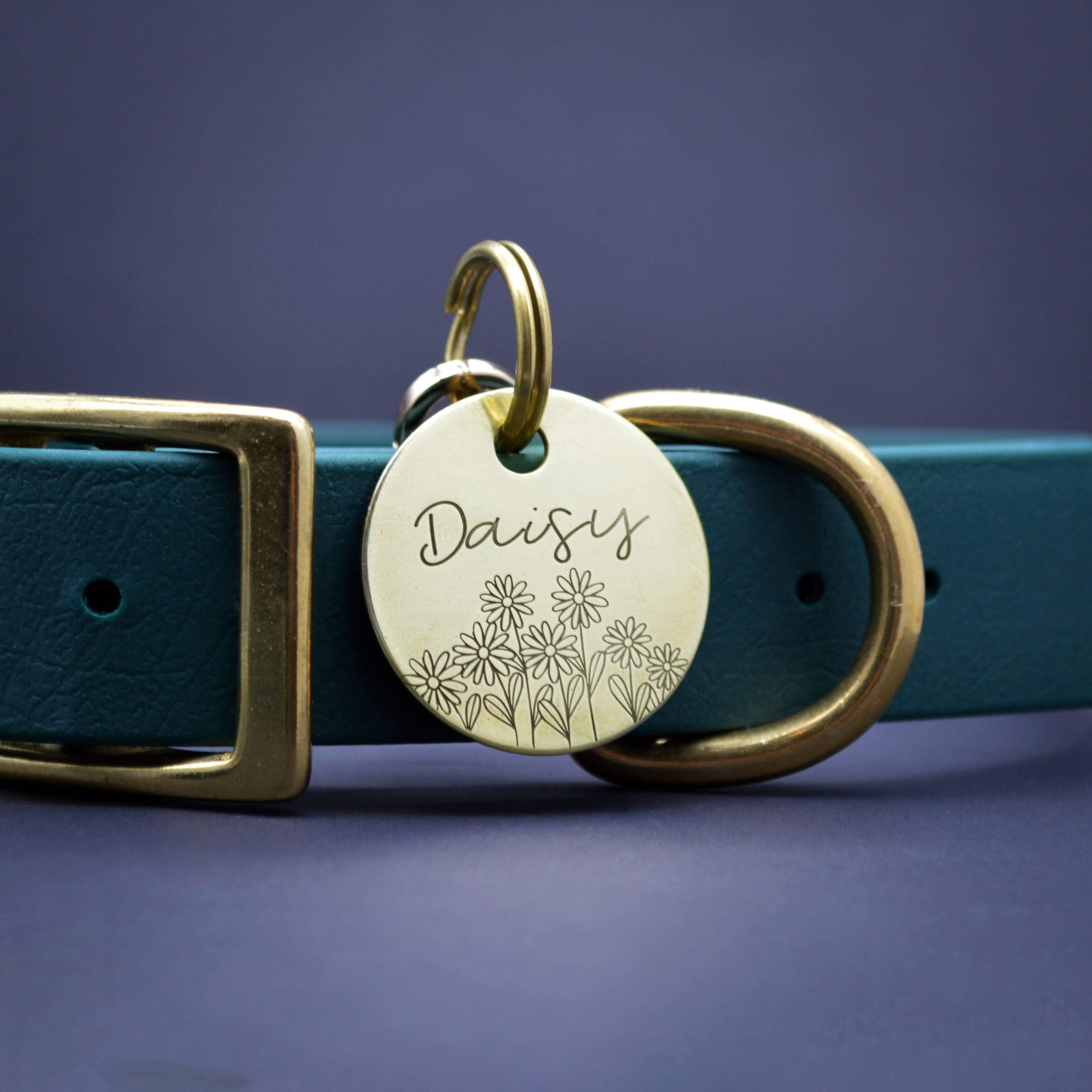 Best Pet Tags in Montreal | Tag4MyPet