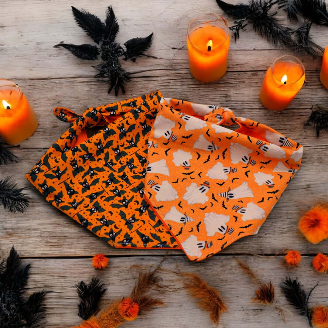Dog Bandanas and Tags