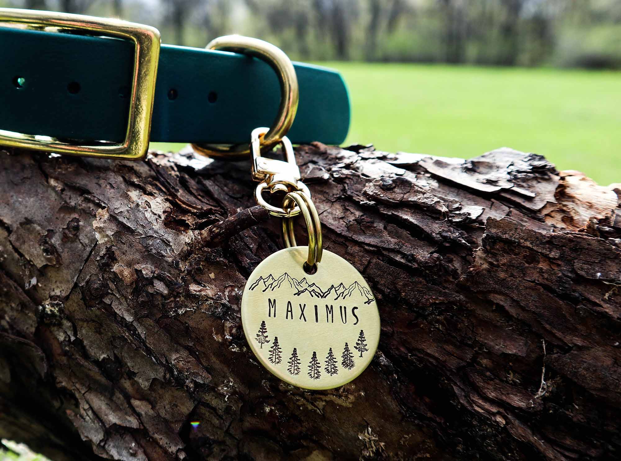 Dog Tags Canada | Tag4MyPet 