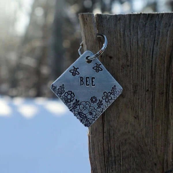 Best Pet Tags Quebec City | Tag4MyPet
