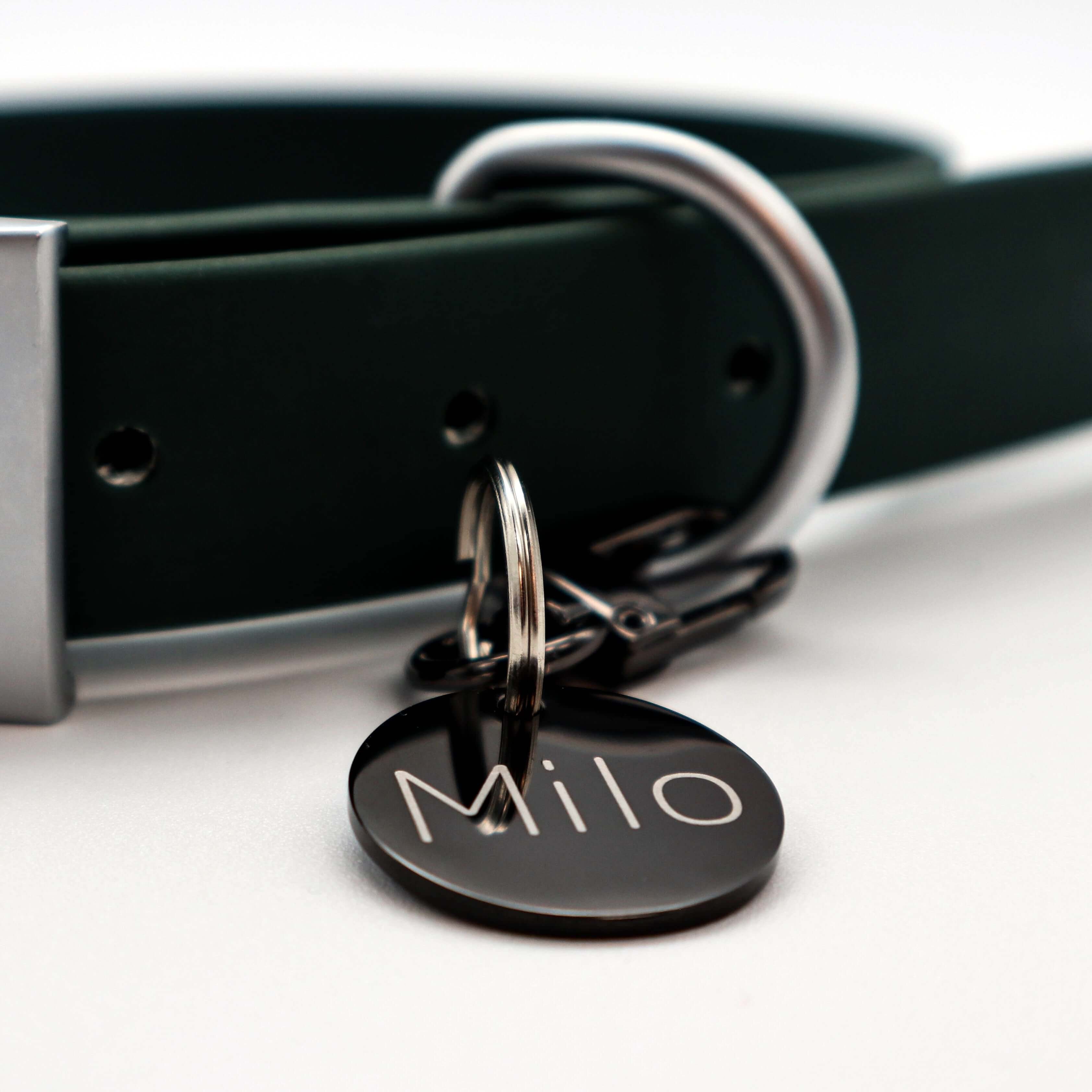 Pet ID Tags and Collars Stylish Safety for Your Dog and Cat