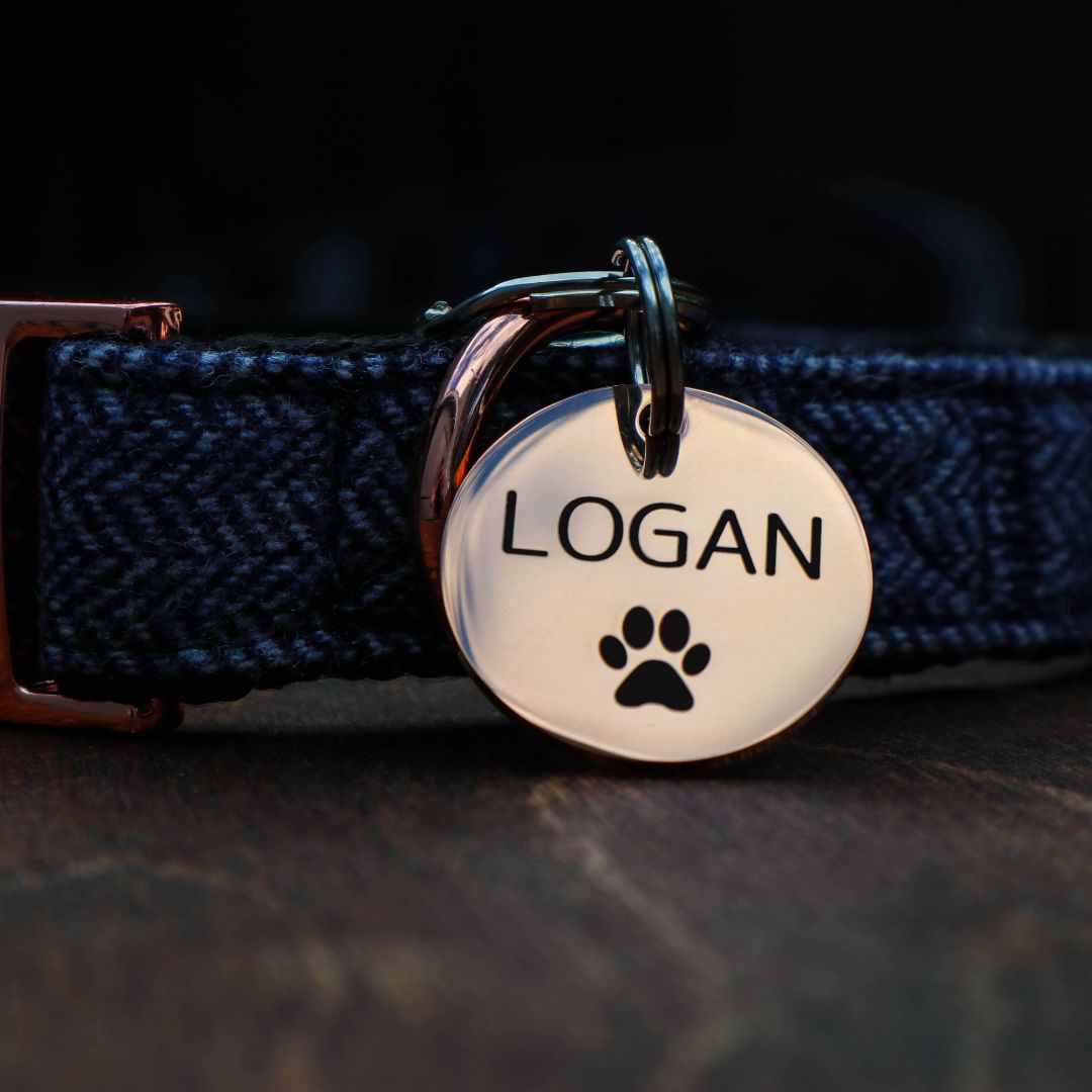 Silver circular dog tag with paw print and name logan engraved