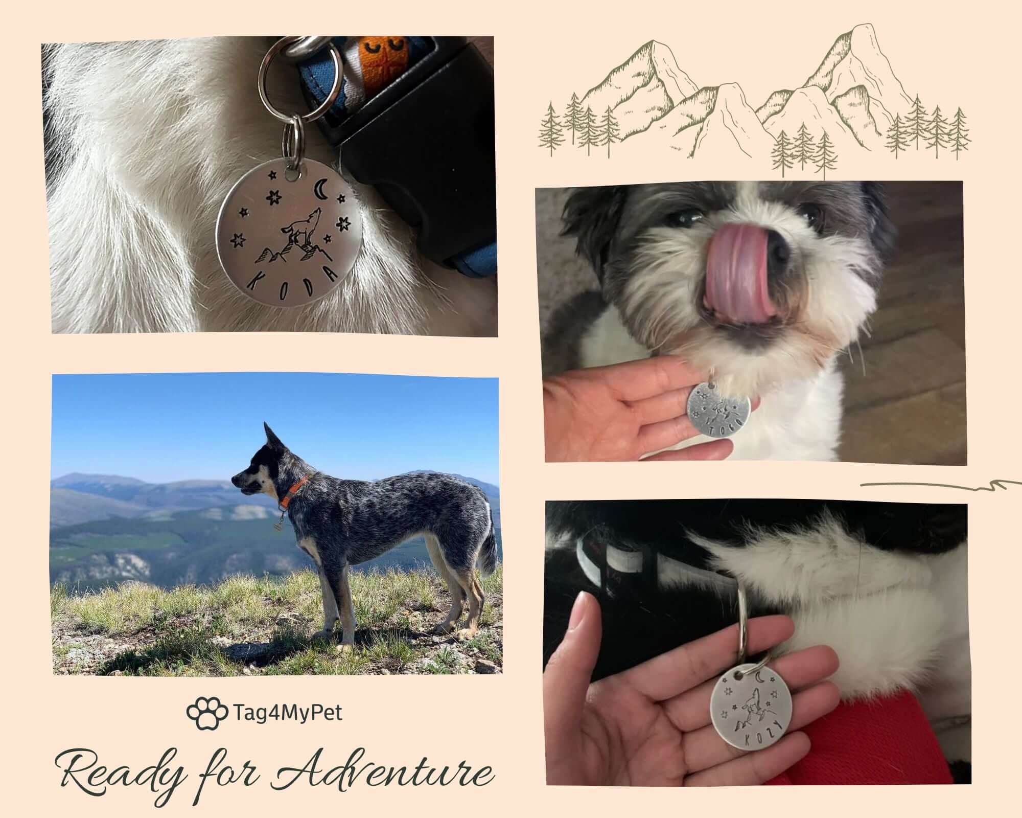 Dog ID Tags for Pets | Tag4MyPet