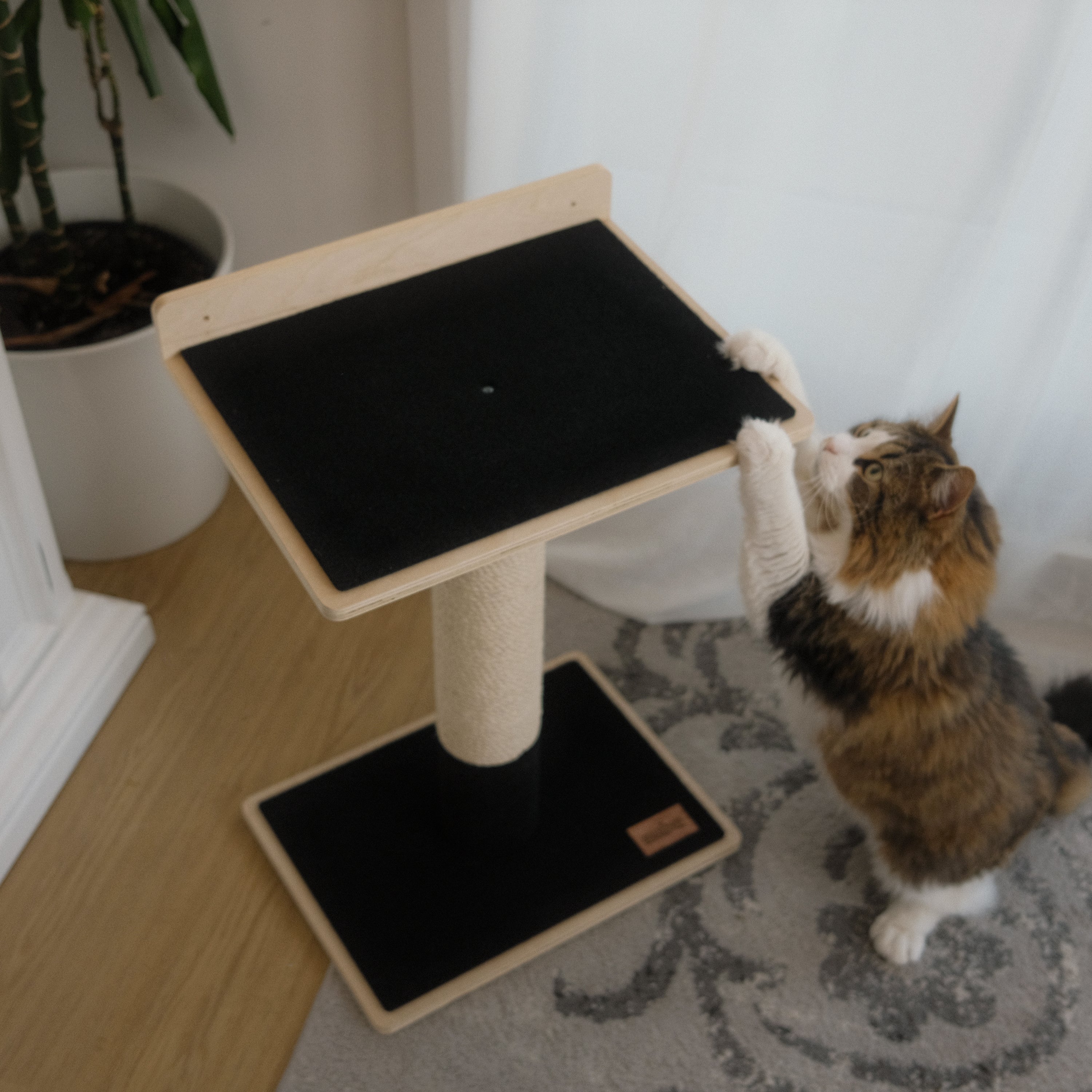 Cat Scratcher Tower | Tag4MyPet | Ships to USA and Canada