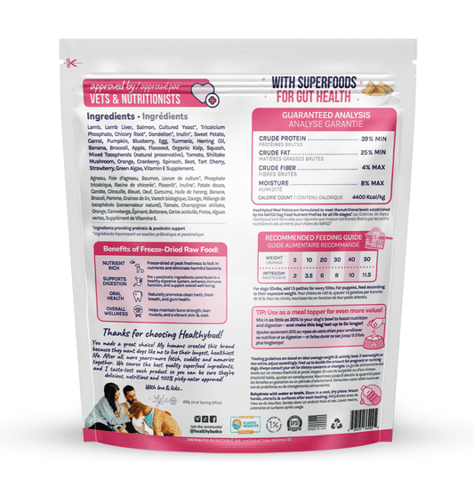 Salmon Meals for Dogs