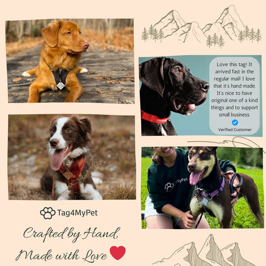 Dogs wearing dog tags