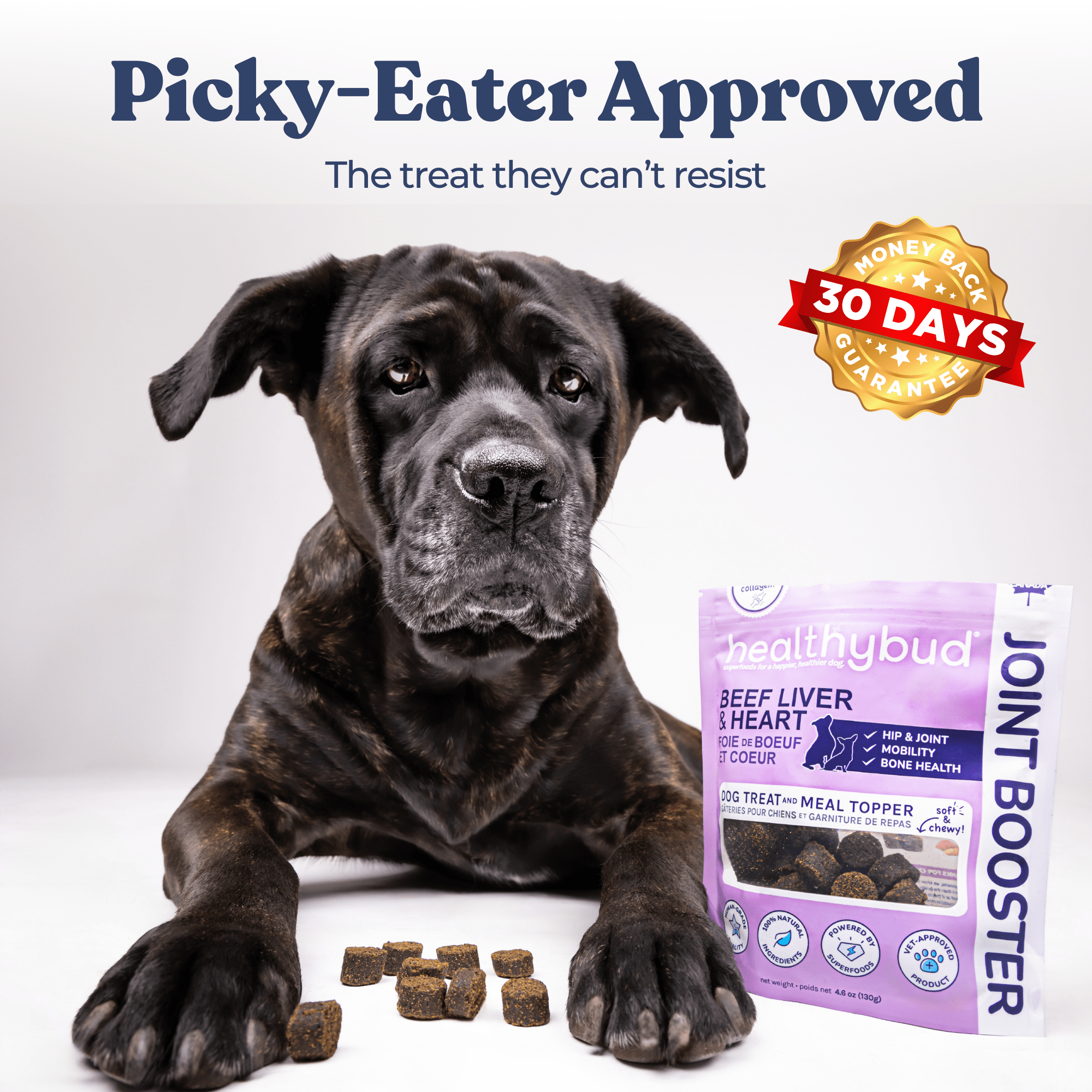 Best Dog Food Joint Health