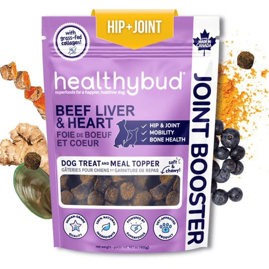 Best Dog Food Joint Health