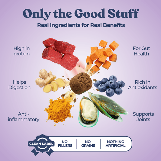 Best Dog Food Joint Health