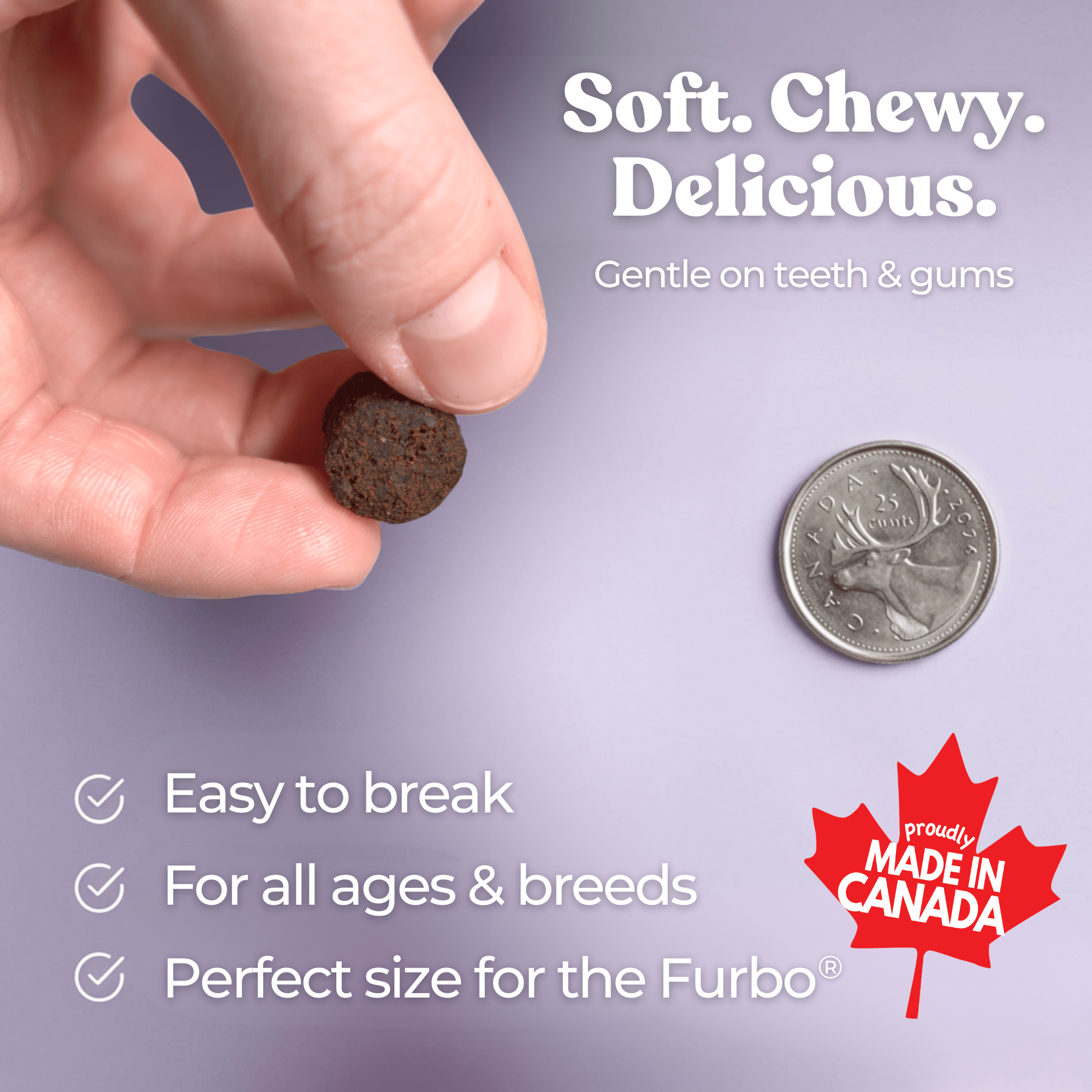 Best Dog Food Joint Health