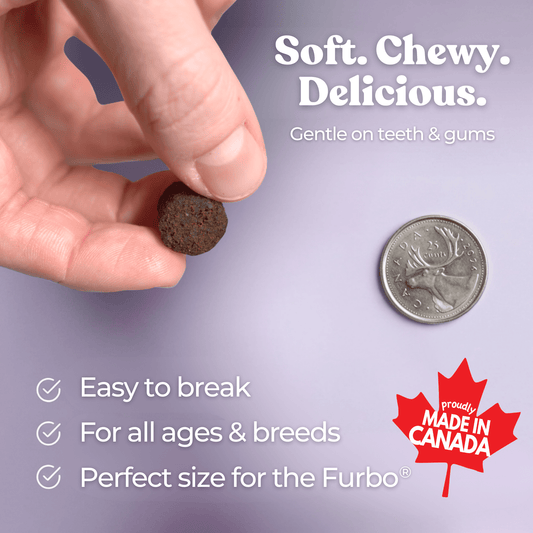 Best Dog Food Joint Health