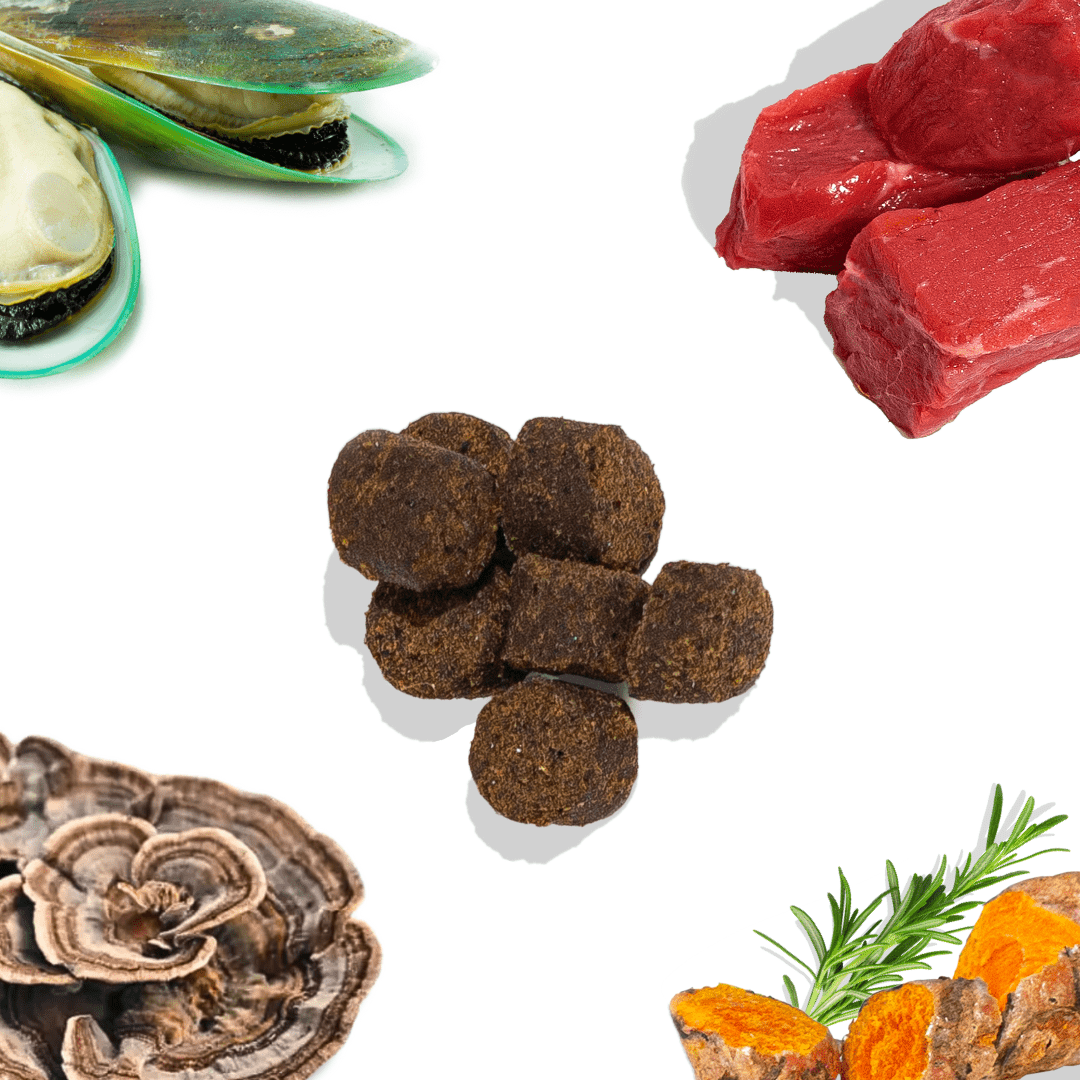 Best Dog Food Joint Health