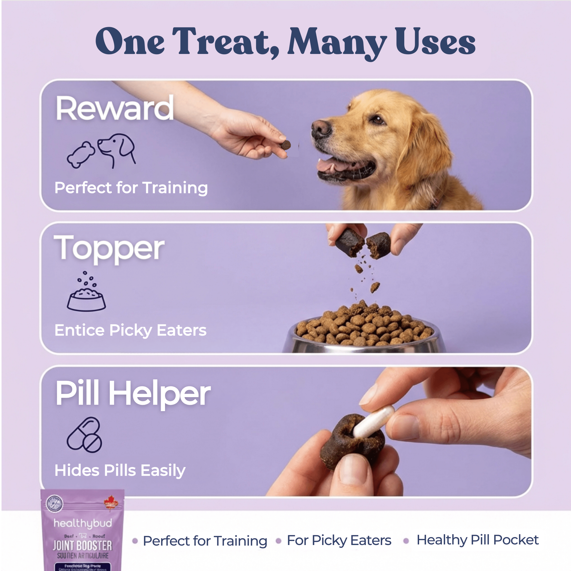 Best Dog Food Joint Health
