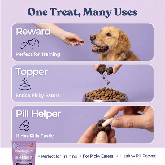Best Dog Food Joint Health