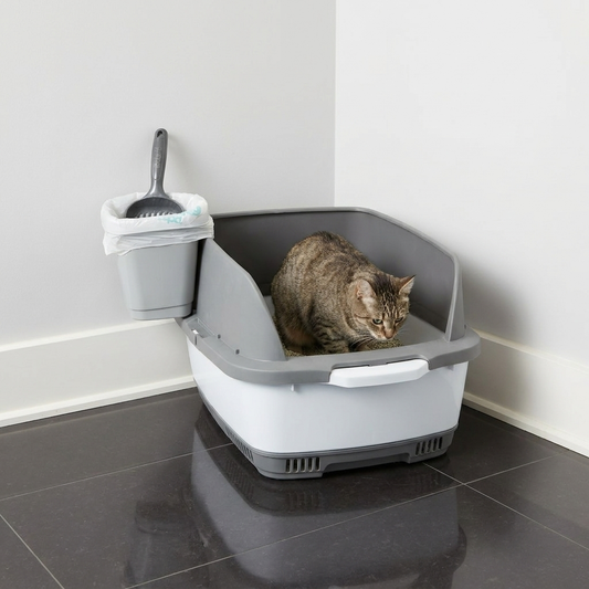 Litter Box with High Sides | Tag4MyPet | Ships to USA & Canada