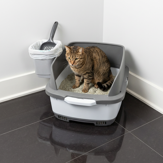 Litter Box with High Sides | Tag4MyPet | Ships to USA & Canada