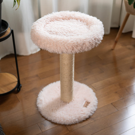 Small Cat Tree | Tag4MyPet | Ships to USA and Canada