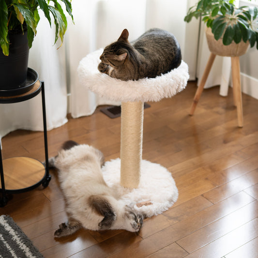 Small Cat Tree | Tag4MyPet | Ships to USA and Canada