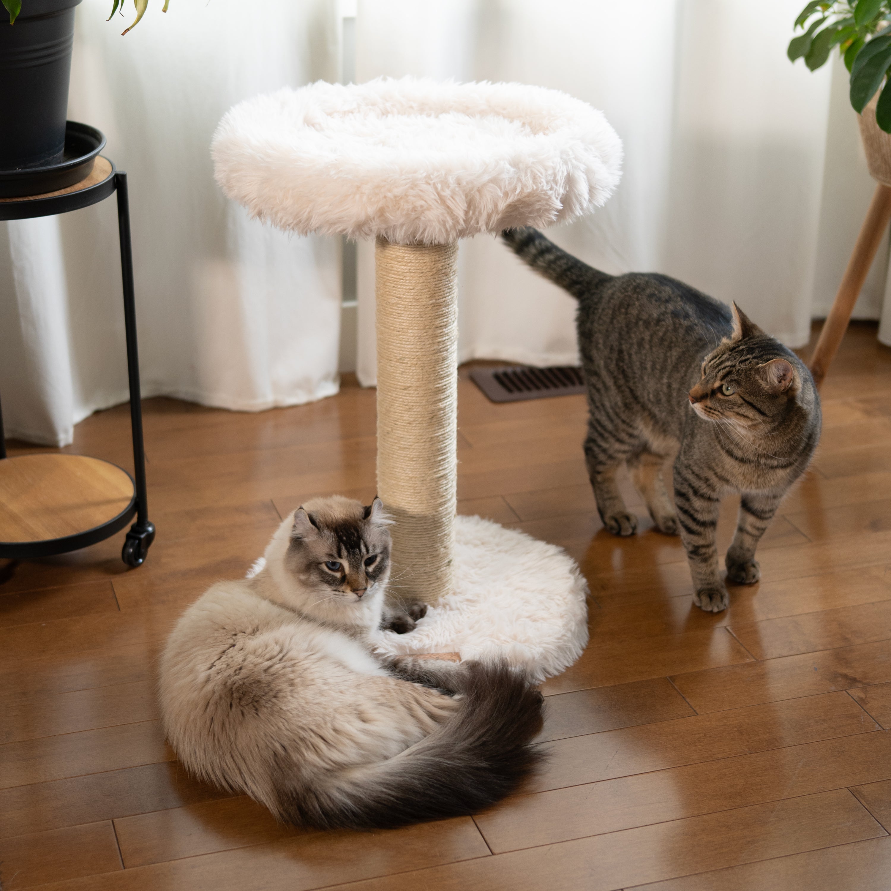 Small Cat Tree | Tag4MyPet | Ships to USA and Canada