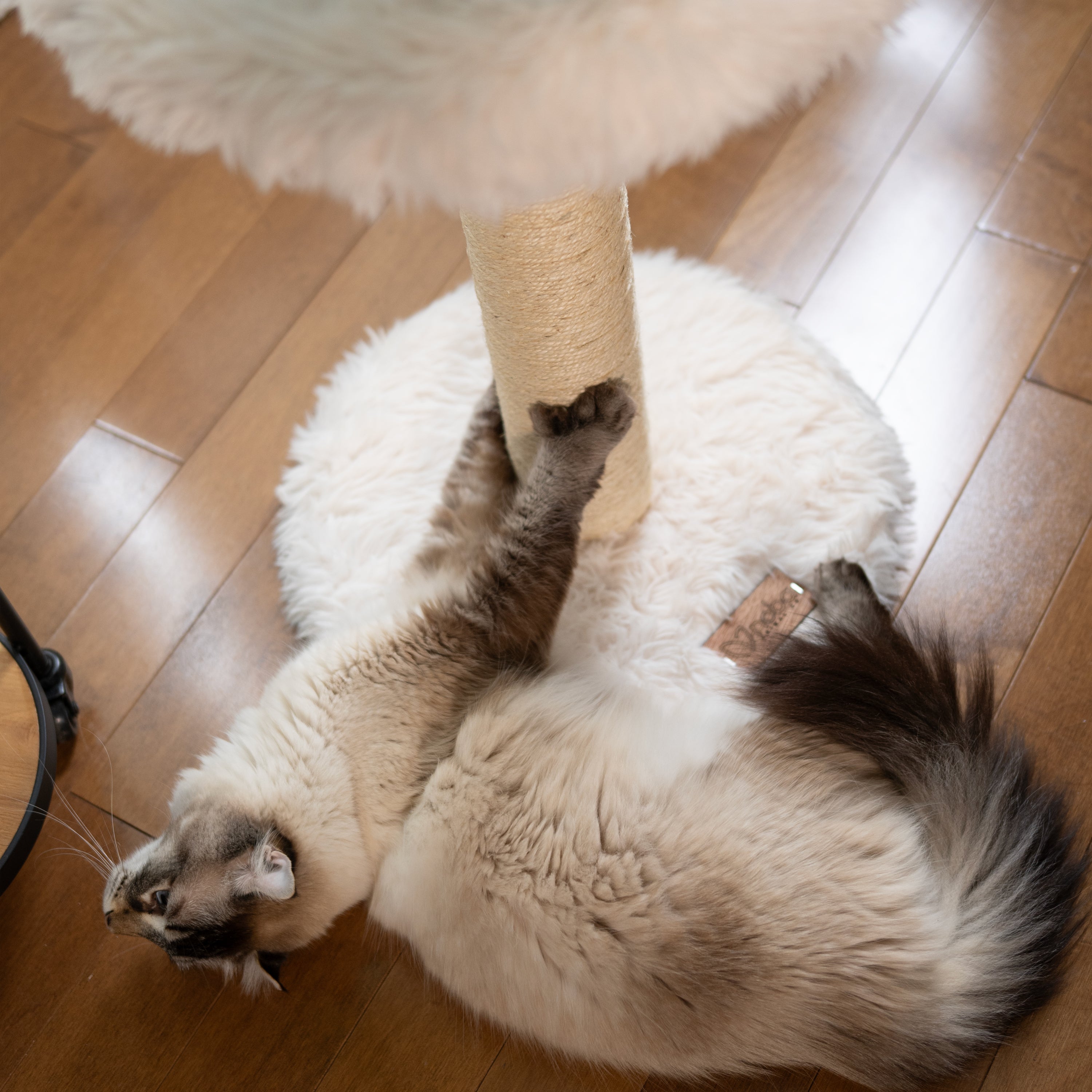Small Cat Tree | Tag4MyPet | Ships to USA and Canada