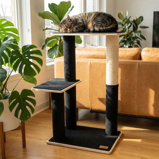 Cat Tree and Tower | Tag4MyPet | Ships to USA and Canada