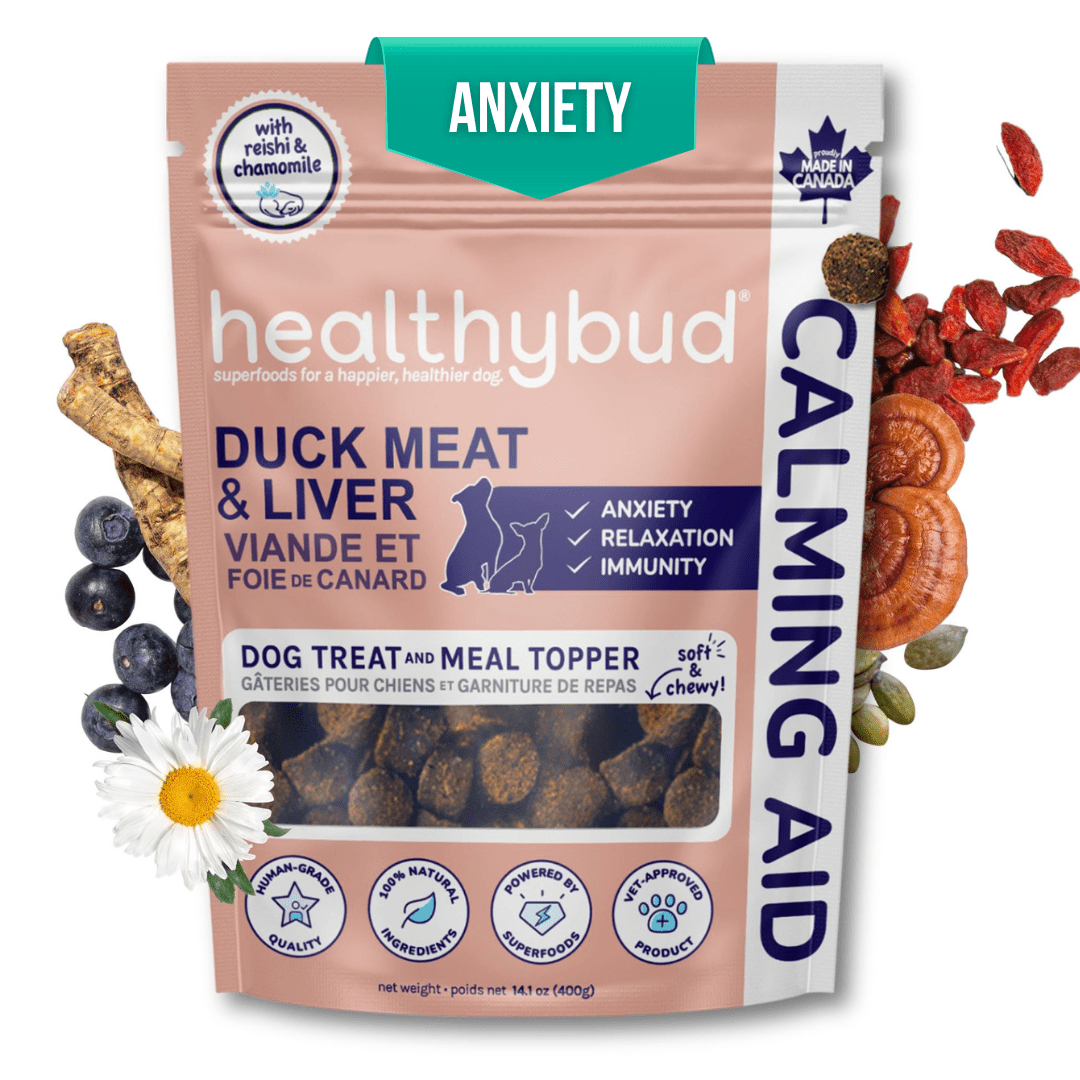Calm treats for dogs
