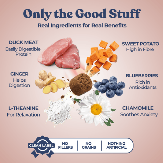 Calming dog treats ingredients 