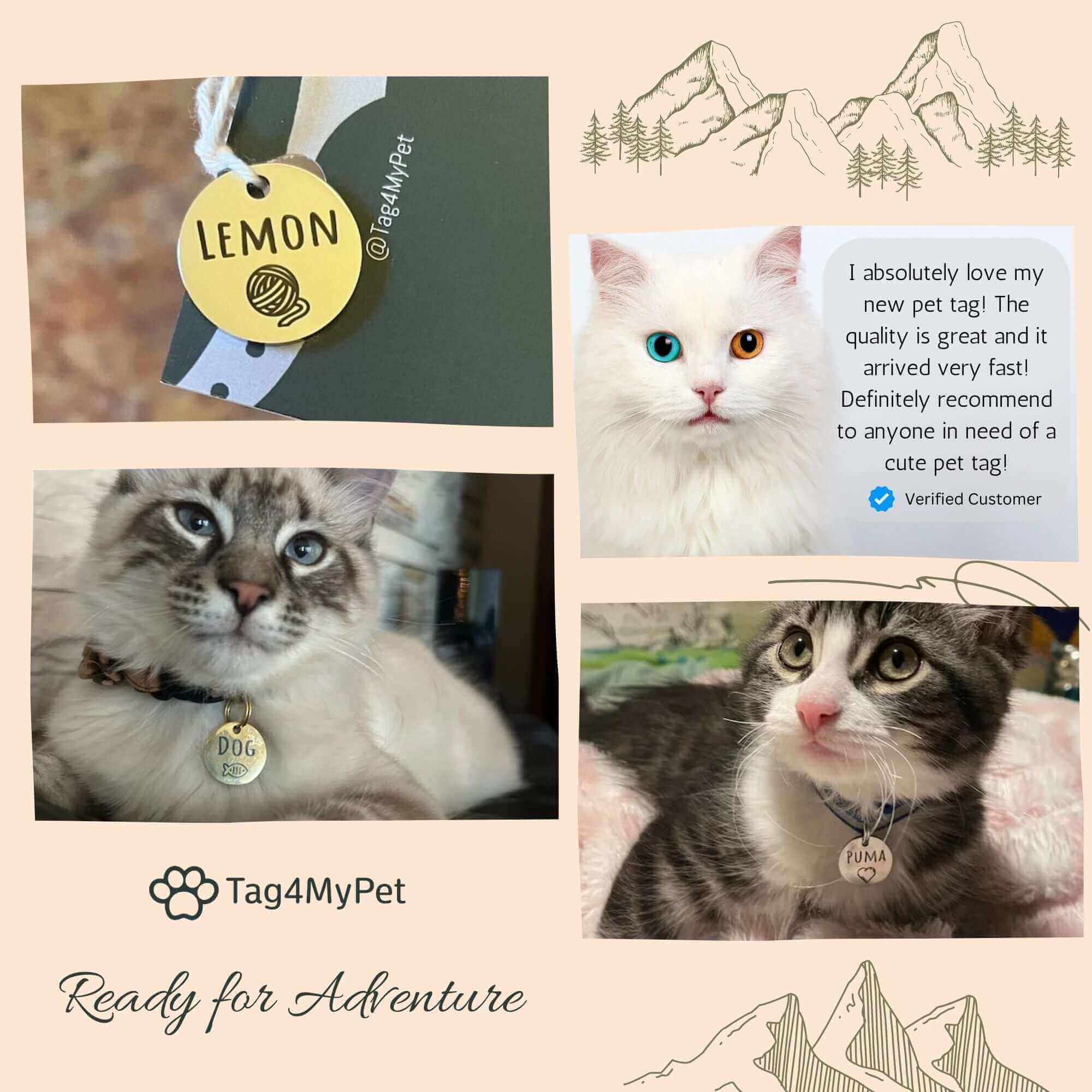 Cat Identity Label Examples of personalized pet ID tags for cats | Tag4MyPet