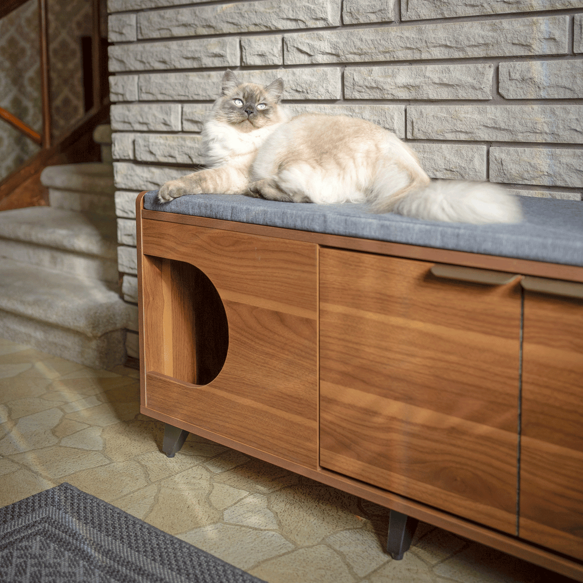 Cat nook | Tag4MyPet