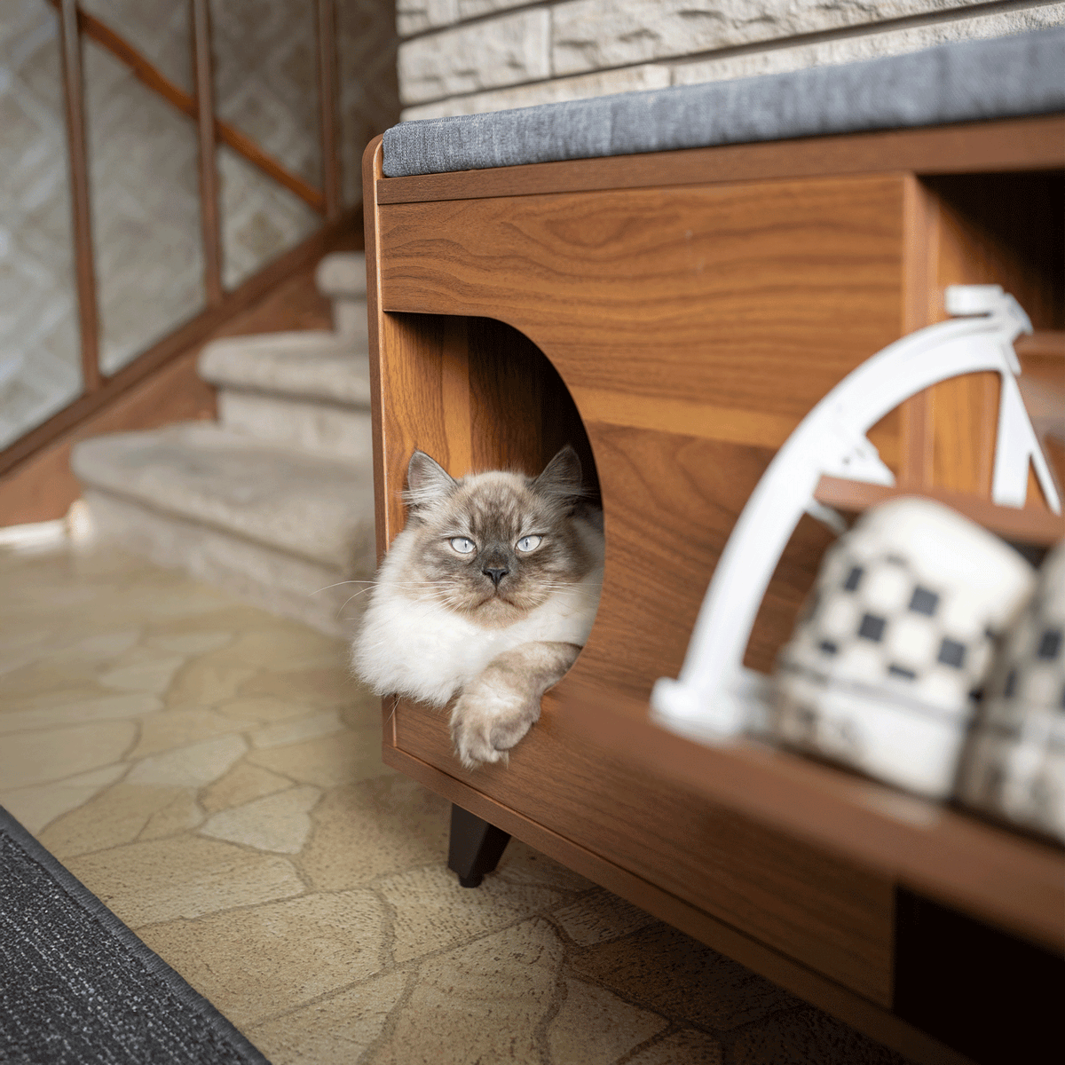 Cat nook | Tag4MyPet