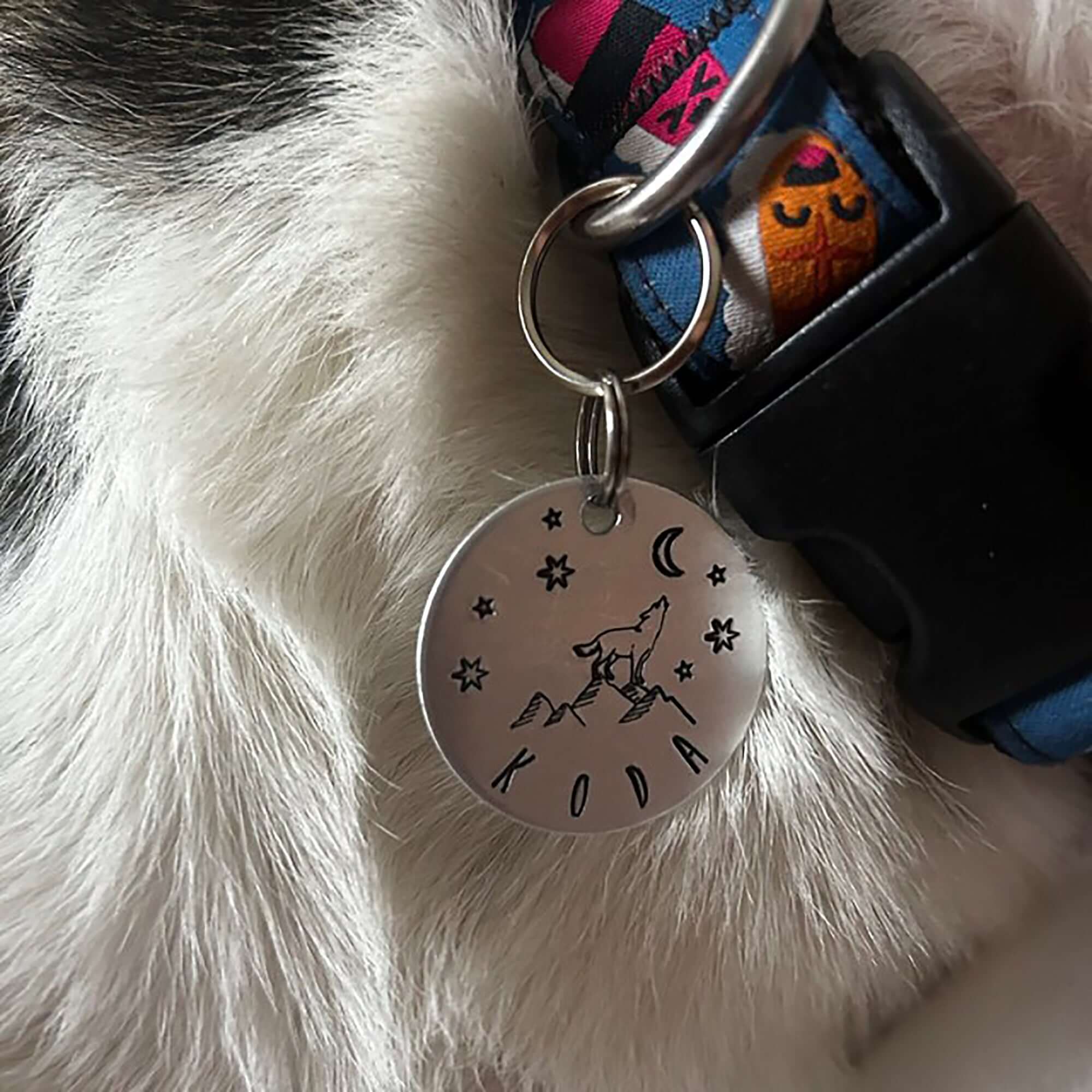 Dog ID Tags for Pets | Tag4MyPet