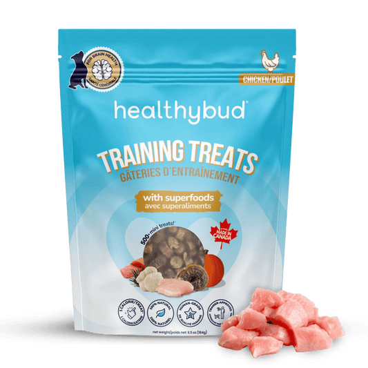 Chicken treats for dogs
