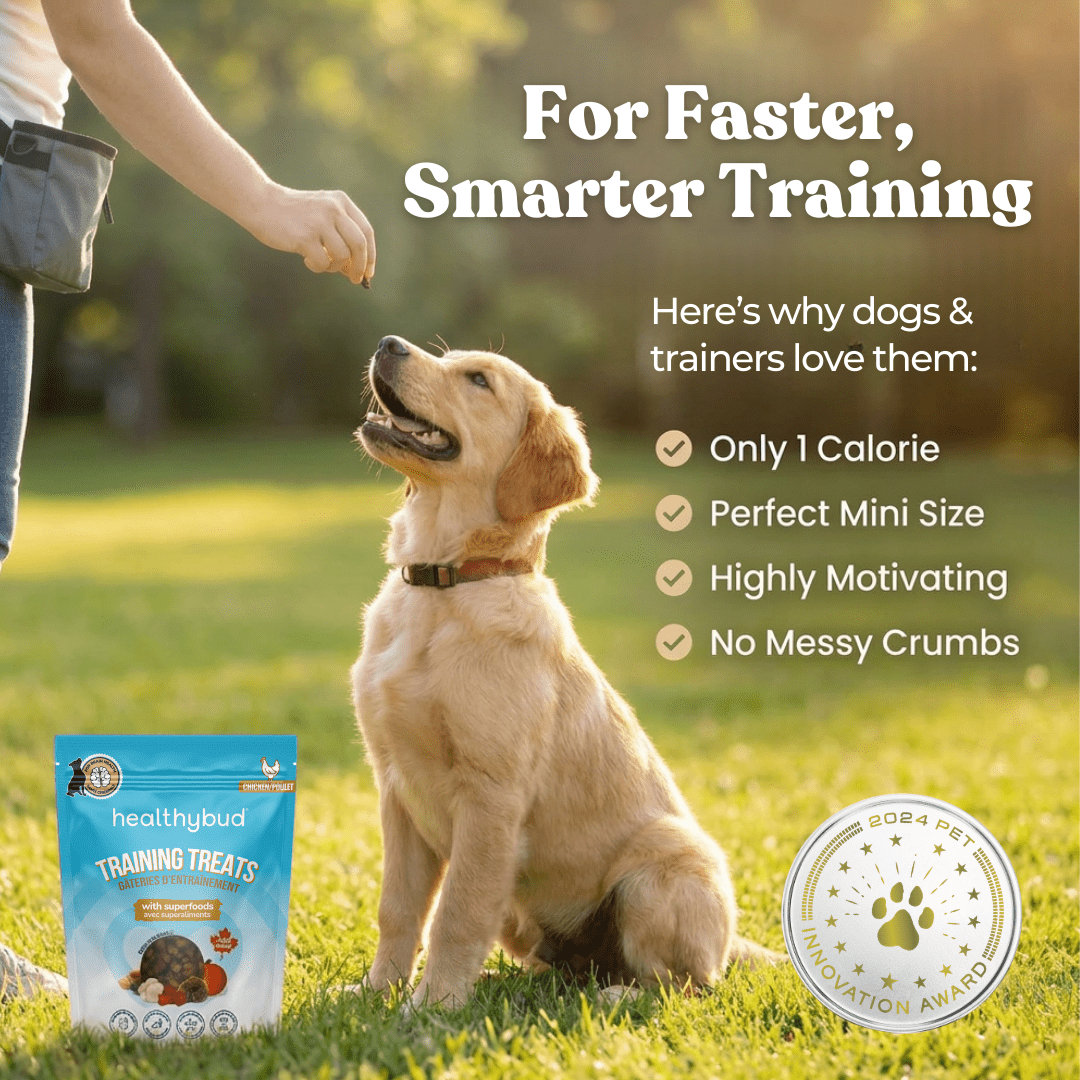 Chicken treats for dogs