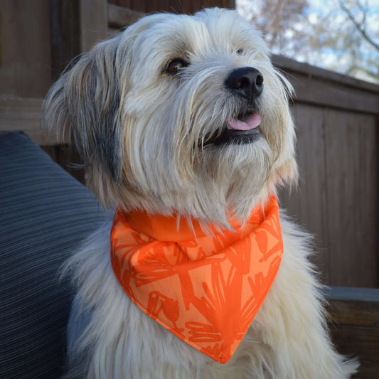 Dog Bandanas | Tag4MyPet | Ships to USA & Canada