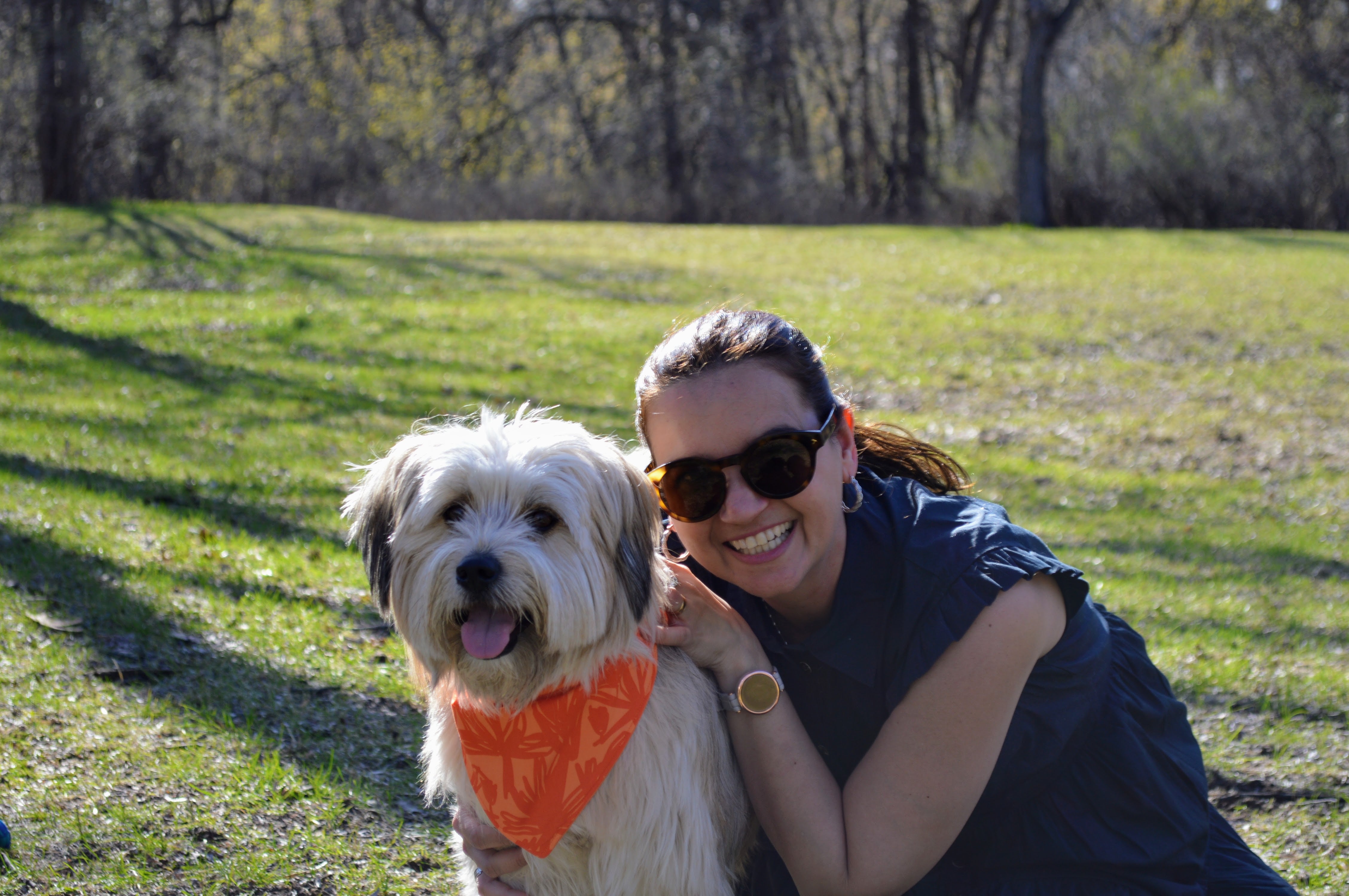 Dog wearing bandana