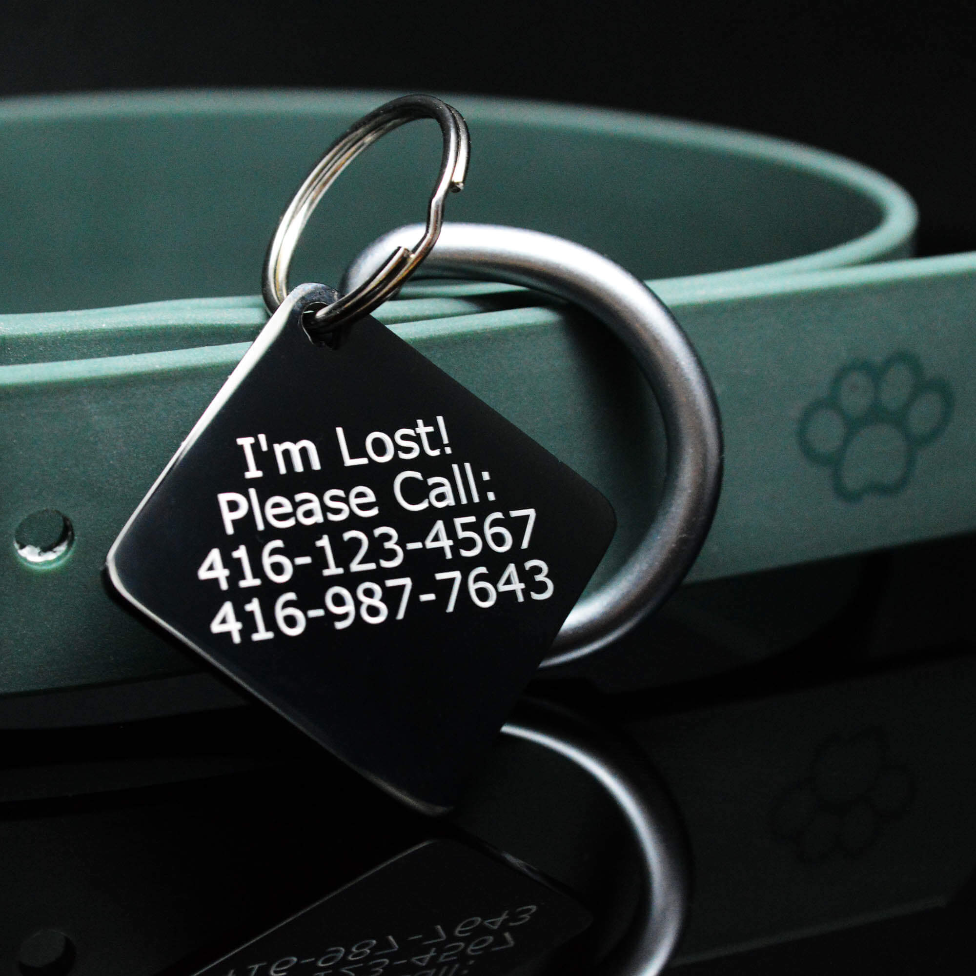 DOG ID Tag Contact Information Engraved on the back