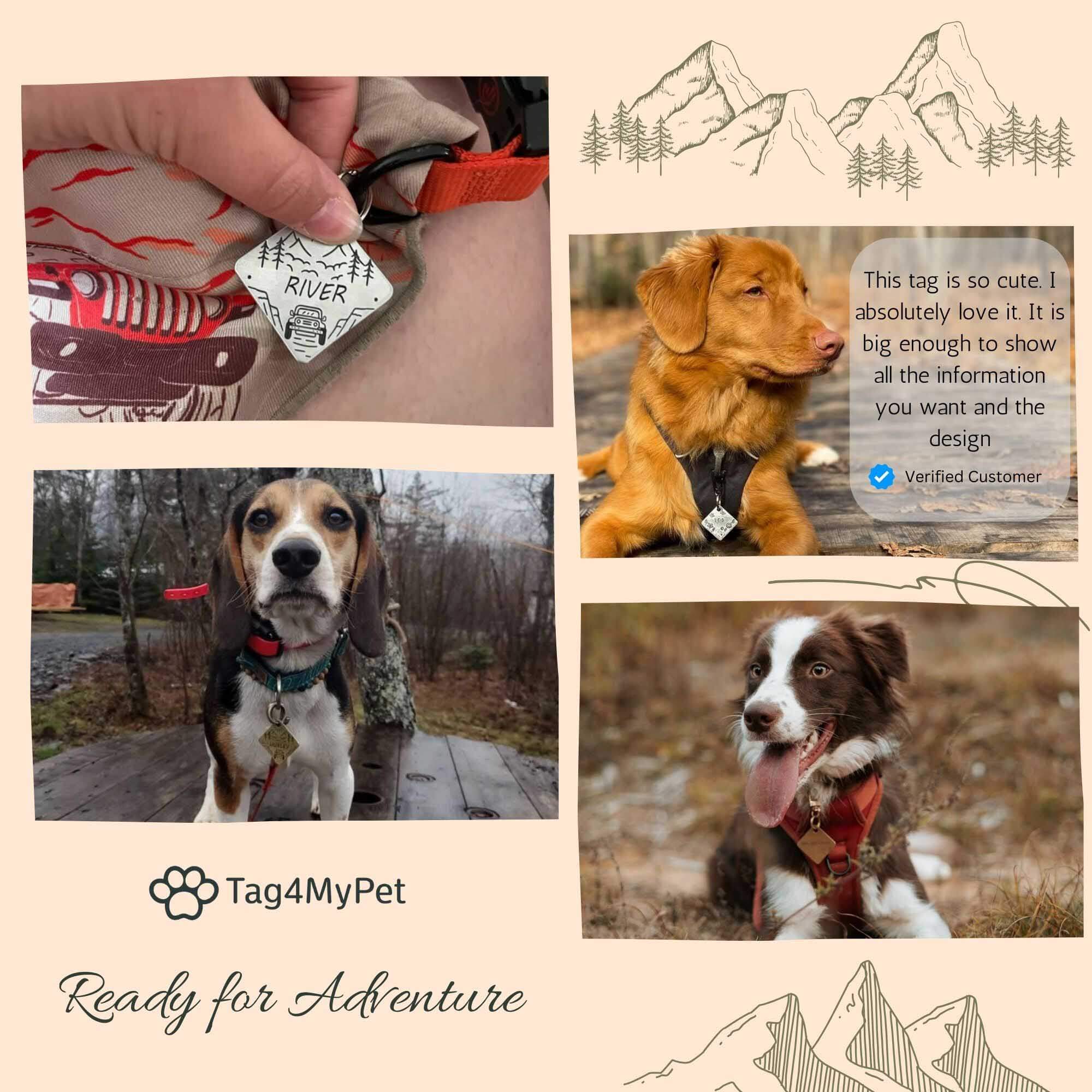 Car Dog Tag Engraved - Pet ID Tag