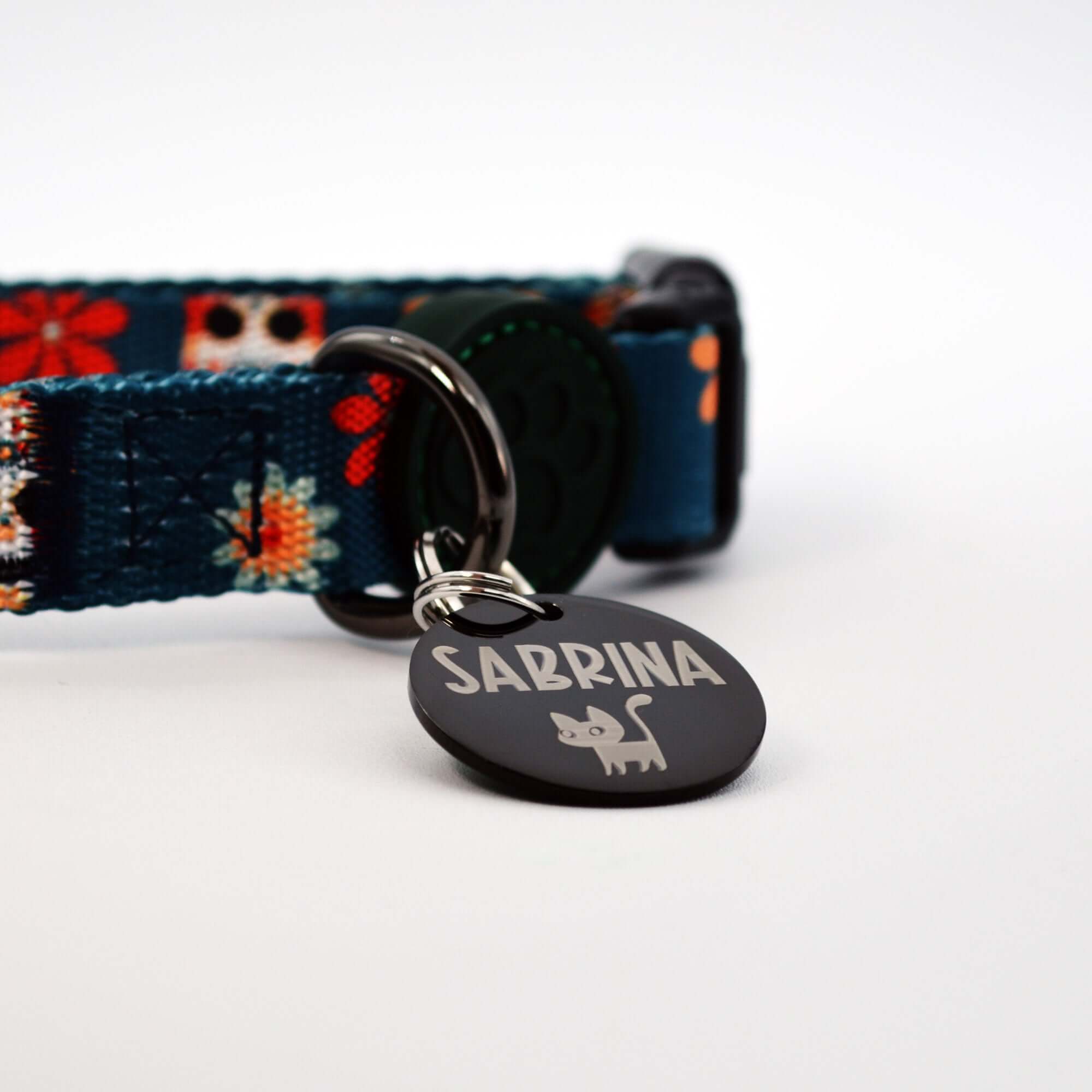 Dog Tag on Collar