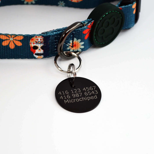 Dog Tag on Collar