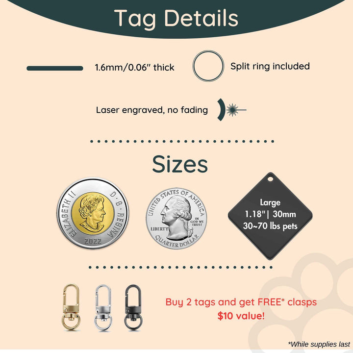 Dog ID Tag Stainless Steel Size Guide