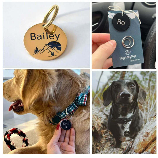 Dog Tags for Dogs Show Case