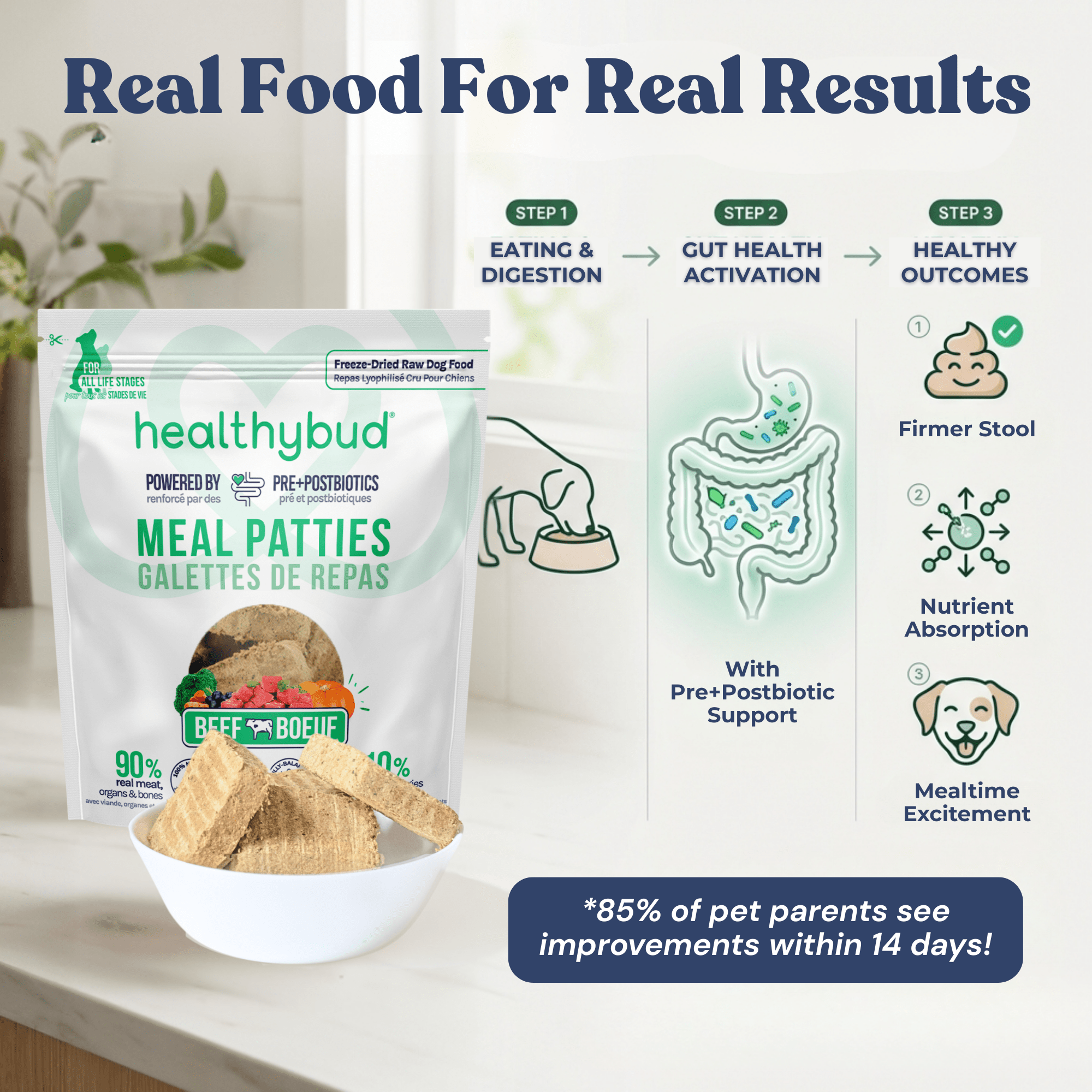 Dog Food Beef Benefits