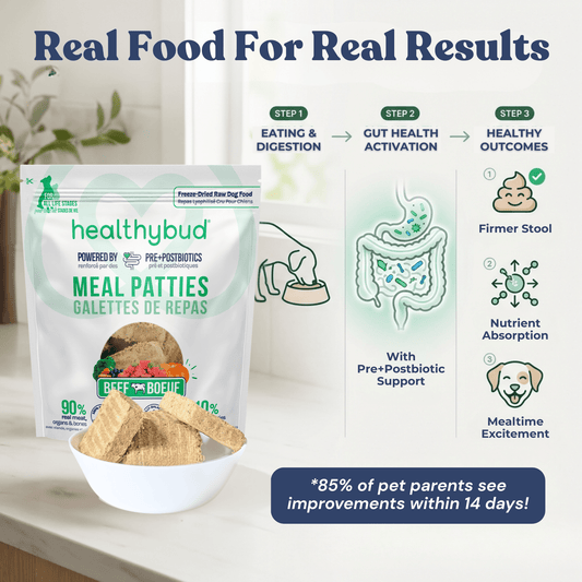 Dog Food Beef Benefits